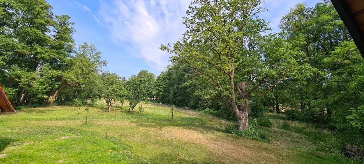 Vierseitenhof Appartements Burg  Εξωτερικό φωτογραφία