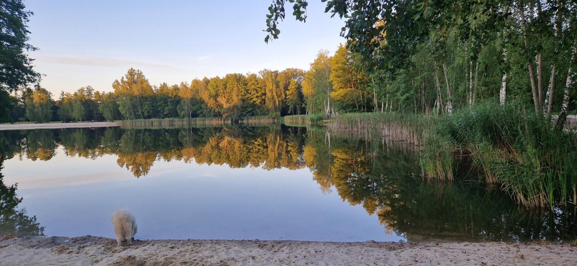 Vierseitenhof Appartements Burg  Εξωτερικό φωτογραφία